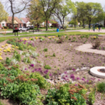TRANSFORMING VACANT LOTS INTO PRODUCTIVE SUSTAINABLE PLACES