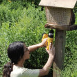 Screenshot 2025 12 15 At 9.23.33 AM