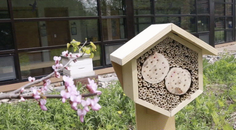 Screenshot 2025 12 15 At 9.23.40 AM