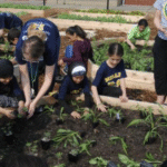 Screenshot 2025 12 16 At 1.19.24 PM